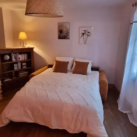 Le Pavillon Bleu - Maison 아파트 *