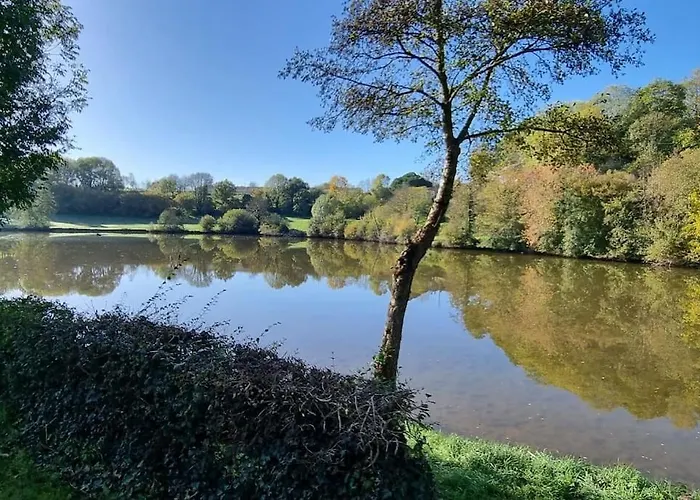 Le Pavillon Bleu - Maison * Vouvant